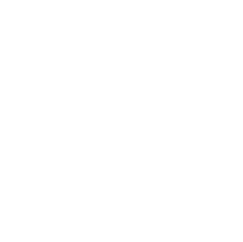 Court Vision